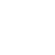 Icon for damage to cargo