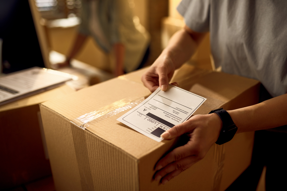 cargo goods in transit